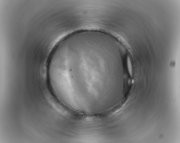 X0000091500584200709061924