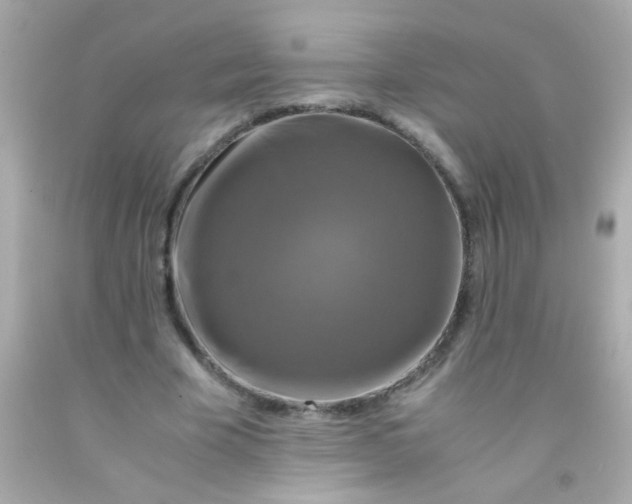 X0000091500585200709061924