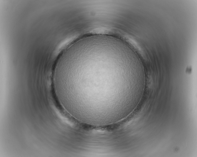 X0000091500586200709061924