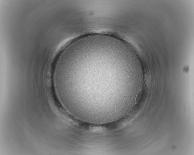 X0000091500587200709061924