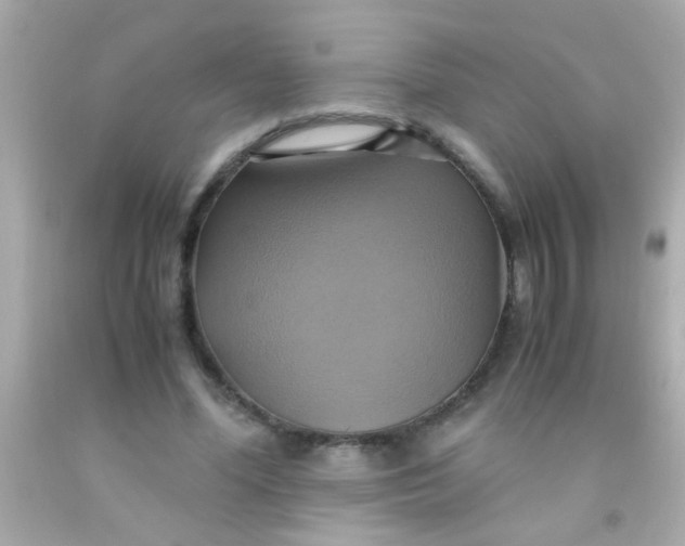 X0000091500588200709061924