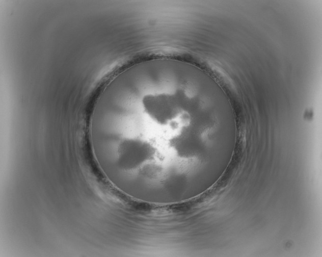 X0000091500591200709061924