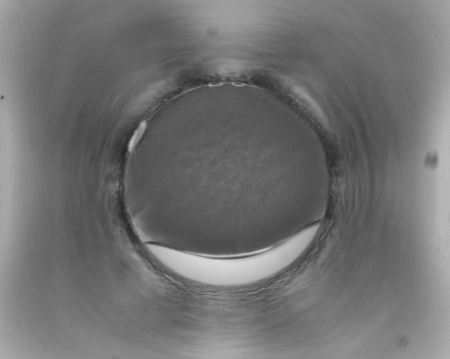 X0000091500593200709061924