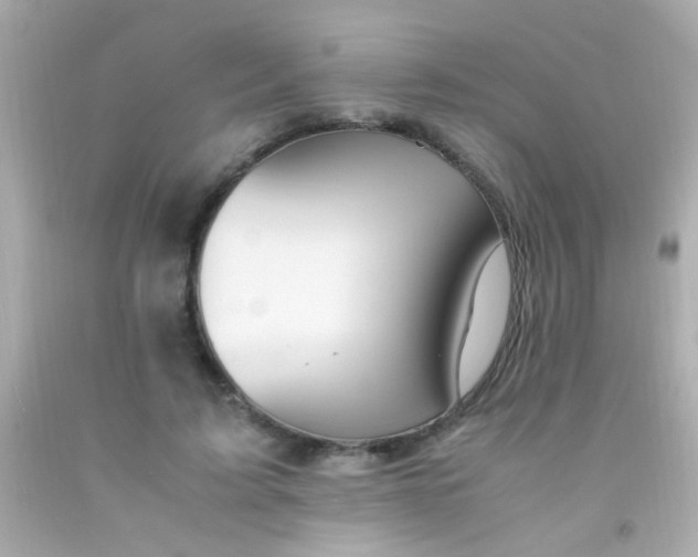 X0000091500595200709061924