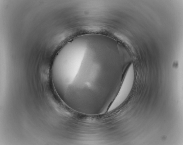 X0000091500596200709061924