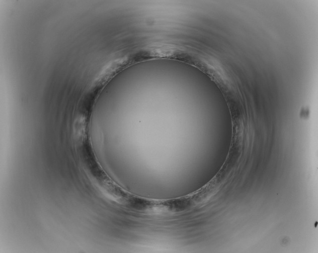 X0000091500598200709061924