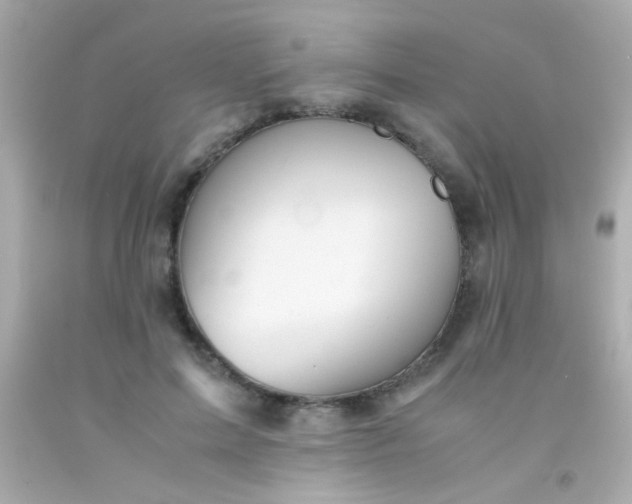 X0000091500599200709061924