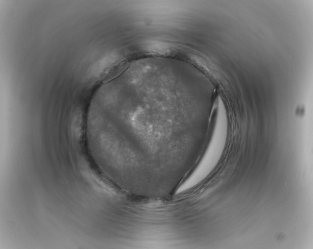 X0000091500600200709061924