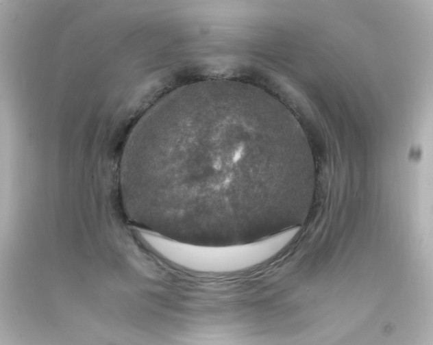 X0000091500601200709061924