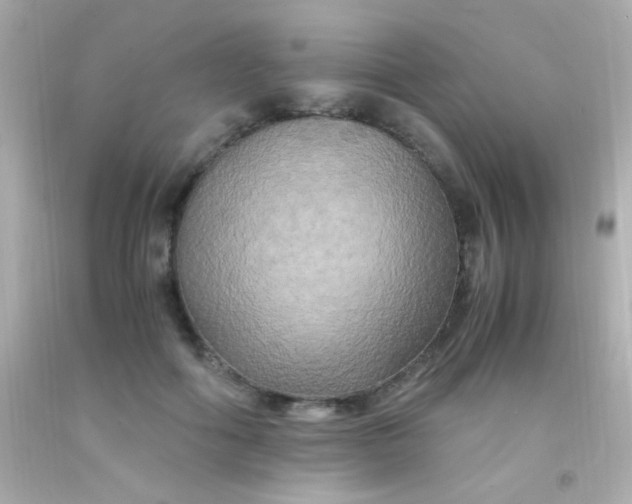 X0000091500602200709061924