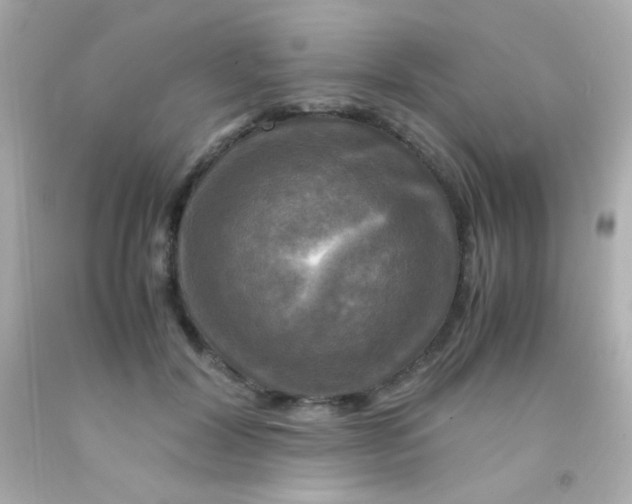 X0000091500604200709061924