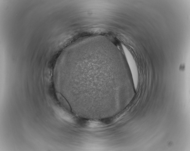 X0000091500605200709061924