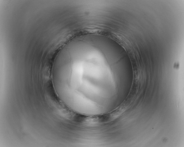 X0000091500606200709061924