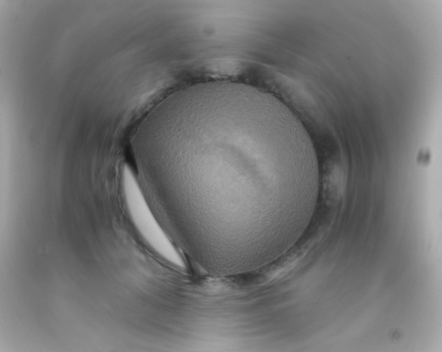 X0000091500608200709061924