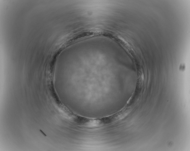 X0000091500609200709061924