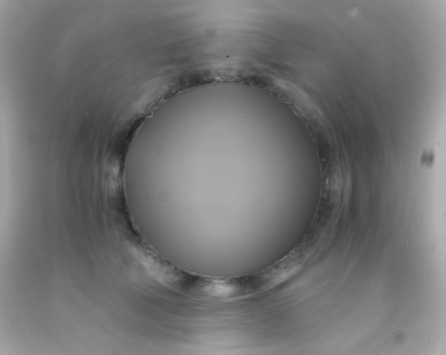 X0000091500610200709061924