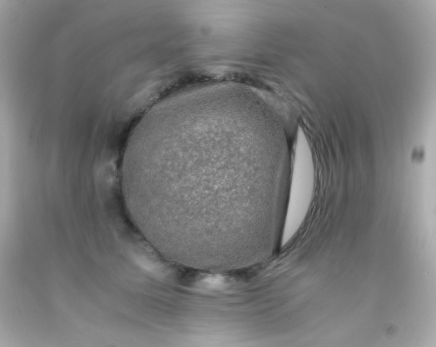 X0000091500611200709061924