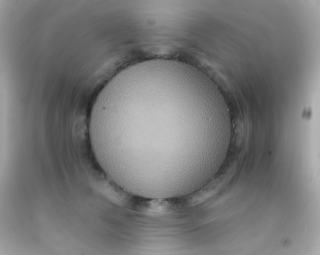 X0000091500612200709061924