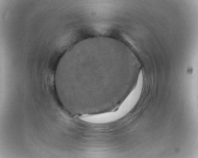 X0000091500613200709061924