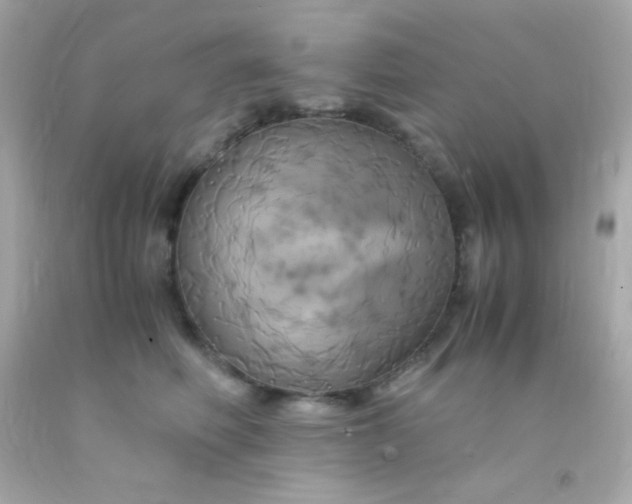 X0000091500614200709061924