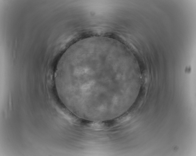 X0000091500615200709061924