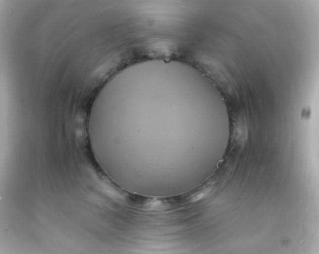 X0000091500616200709061924