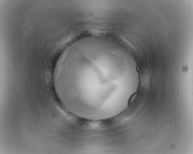 X0000091500618200709061924