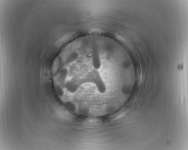 X0000091500619200709061923