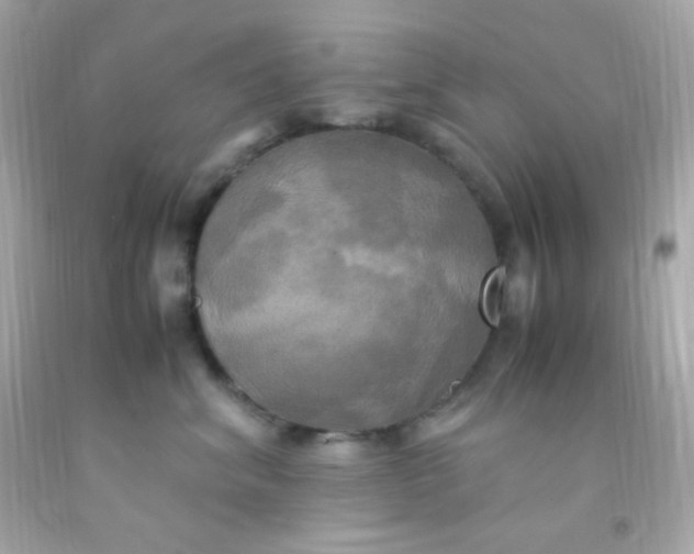 X0000091500620200709061923