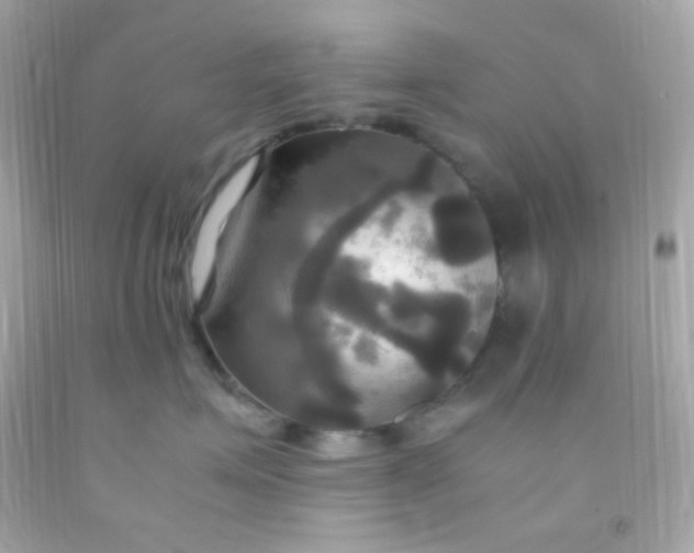 X0000091500623200709061923