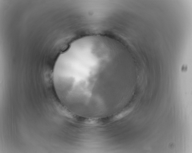 X0000091500624200709061923