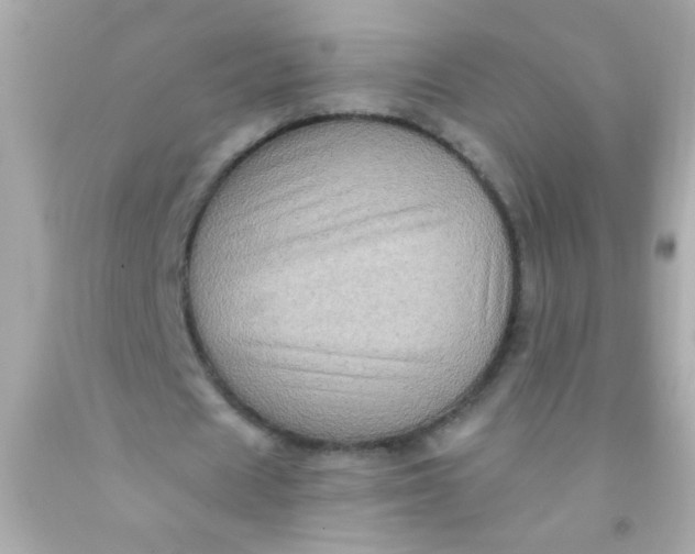 X0000091500625200709061923