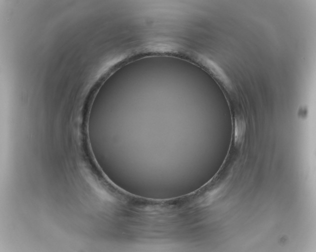 X0000091500627200709061923