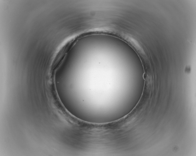 X0000091500628200709061923