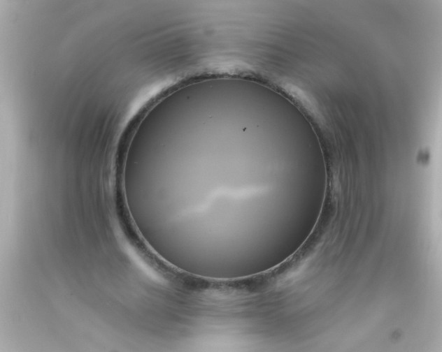 X0000091500630200709061923