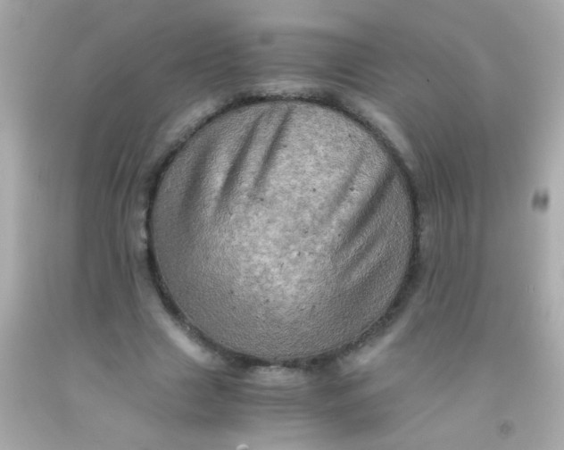 X0000091500633200709061923