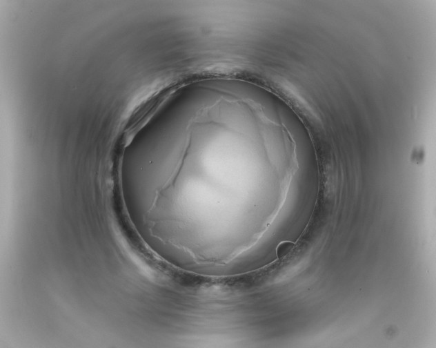 X0000091500634200709061923