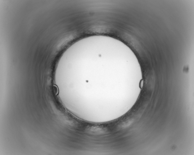 X0000091500635200709061923