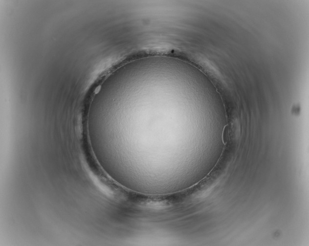 X0000091500638200709061923