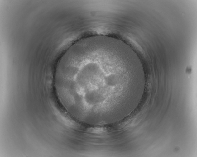 X0000091500639200709061923