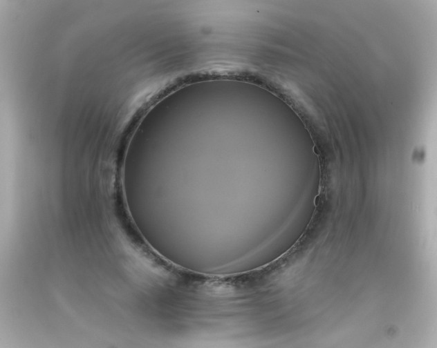 X0000091500640200709061923