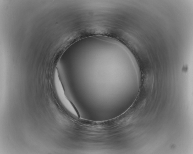 X0000091500643200709061923