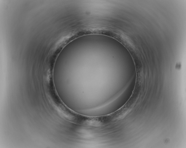 X0000091500644200709061923