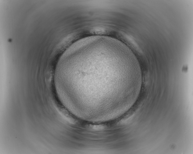 X0000091500645200709061923