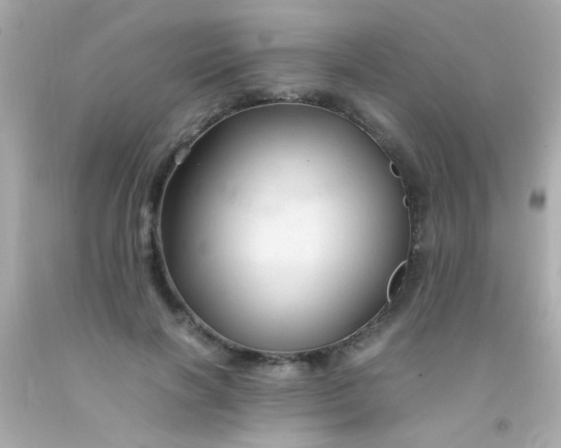 X0000091500646200709061923