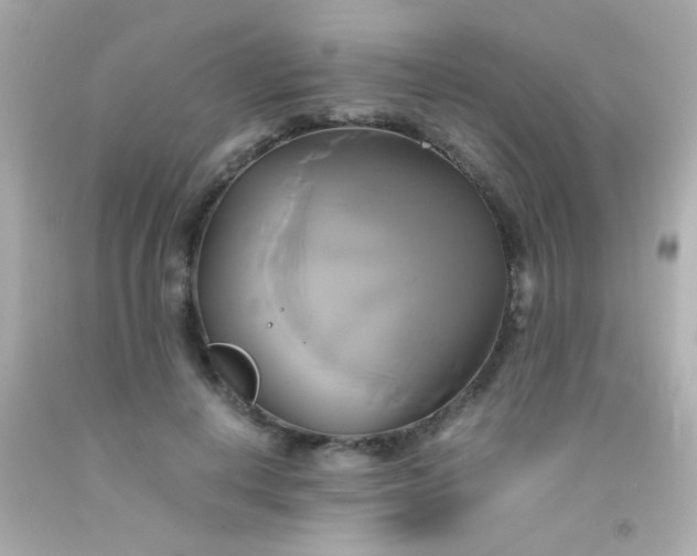 X0000091500648200709061923