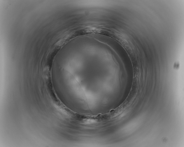 X0000091500649200709061923