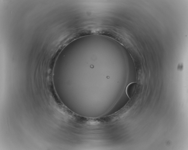 X0000091500650200709061923