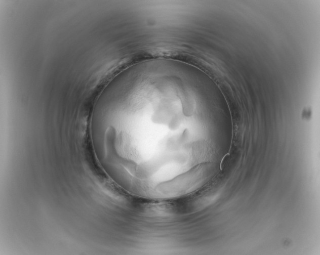 X0000091500652200709061923