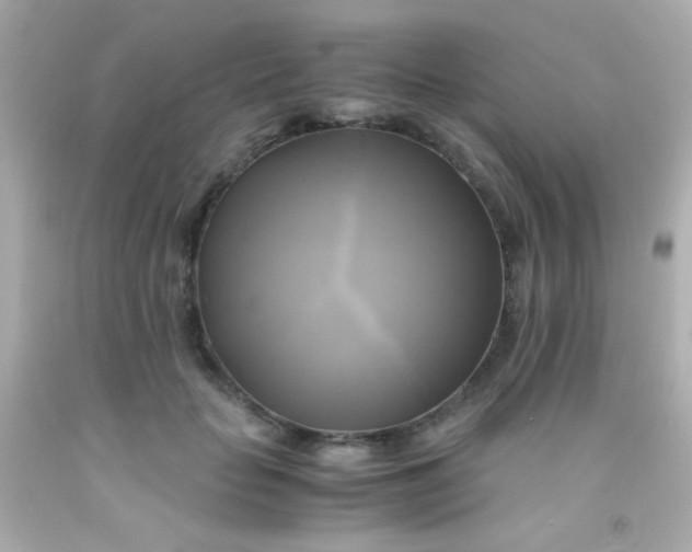 X0000091500653200709061923